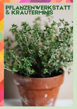 Pflanzenwerkstatt Pflanzenwerkstatt