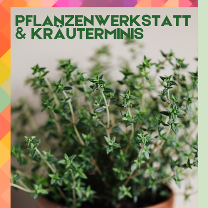 Pflanzenwerkstatt